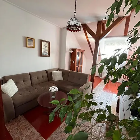 Kasztanova W Samym Sercu Miasta